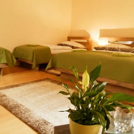 לינה וארוחת בוקר Bartok Ter Panzio אגר