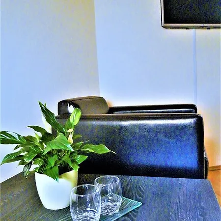 לינה וארוחת בוקר Bartok Ter Panzio