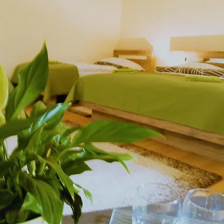 Bartok Ter Panzio אגר