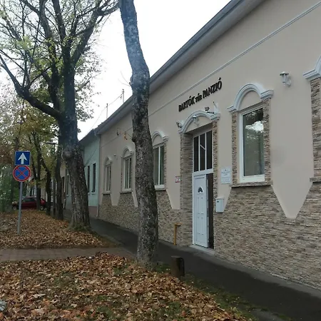 Bartok Ter Panzio Eger